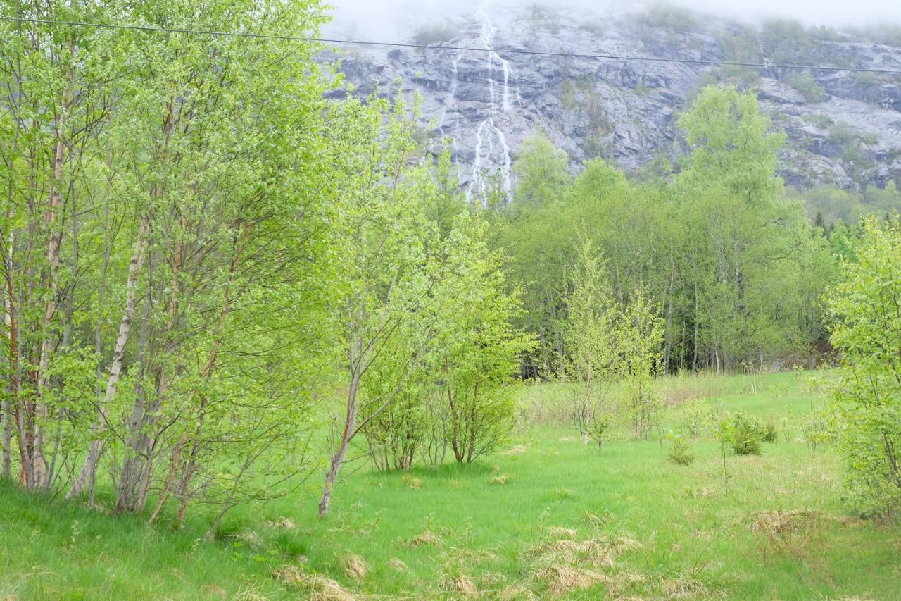 Lake View Holiday Stay In Jolster Årdal Eksteriør billede